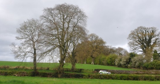 Rajd Irlandii